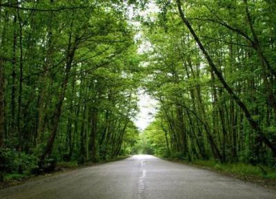 پارک جنگلی و ساحلی گیسوم Gissoom Jungle پارک جنگلی و ساحلی گیسوم Gissoom Jungle